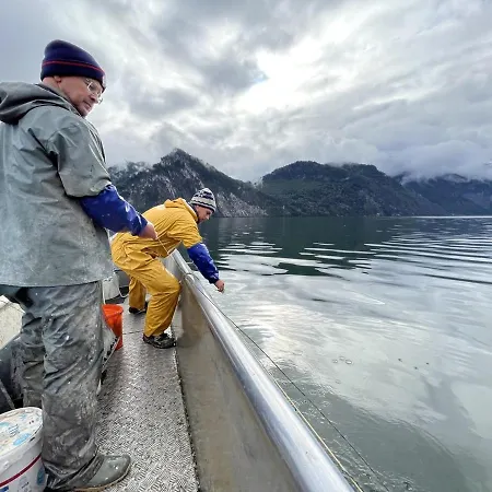 Seehotel Traunsee