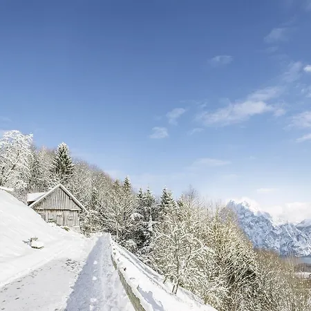 Seehotel Traunsee Hotel Traunkirchen